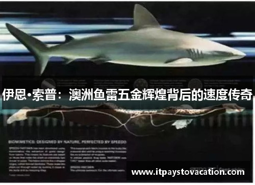 伊恩·索普:澳洲鱼雷五金辉煌背后的速度传奇 伊恩·索普:澳洲鱼雷五金辉煌背后的速度传奇
